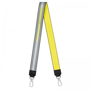 Longchamp Rayures Erkek Shoulder Straps Gümüş | 42517-JLQA